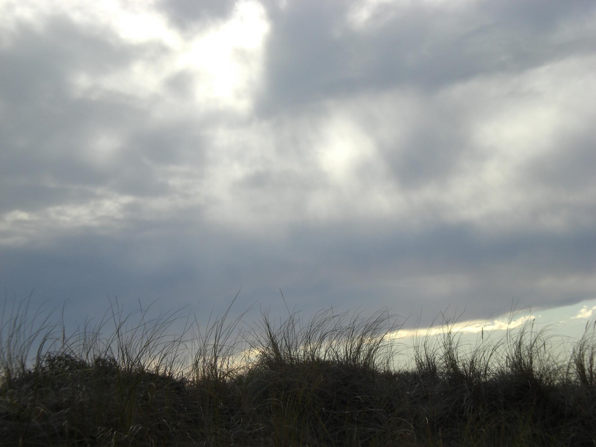 Dune mer demontee